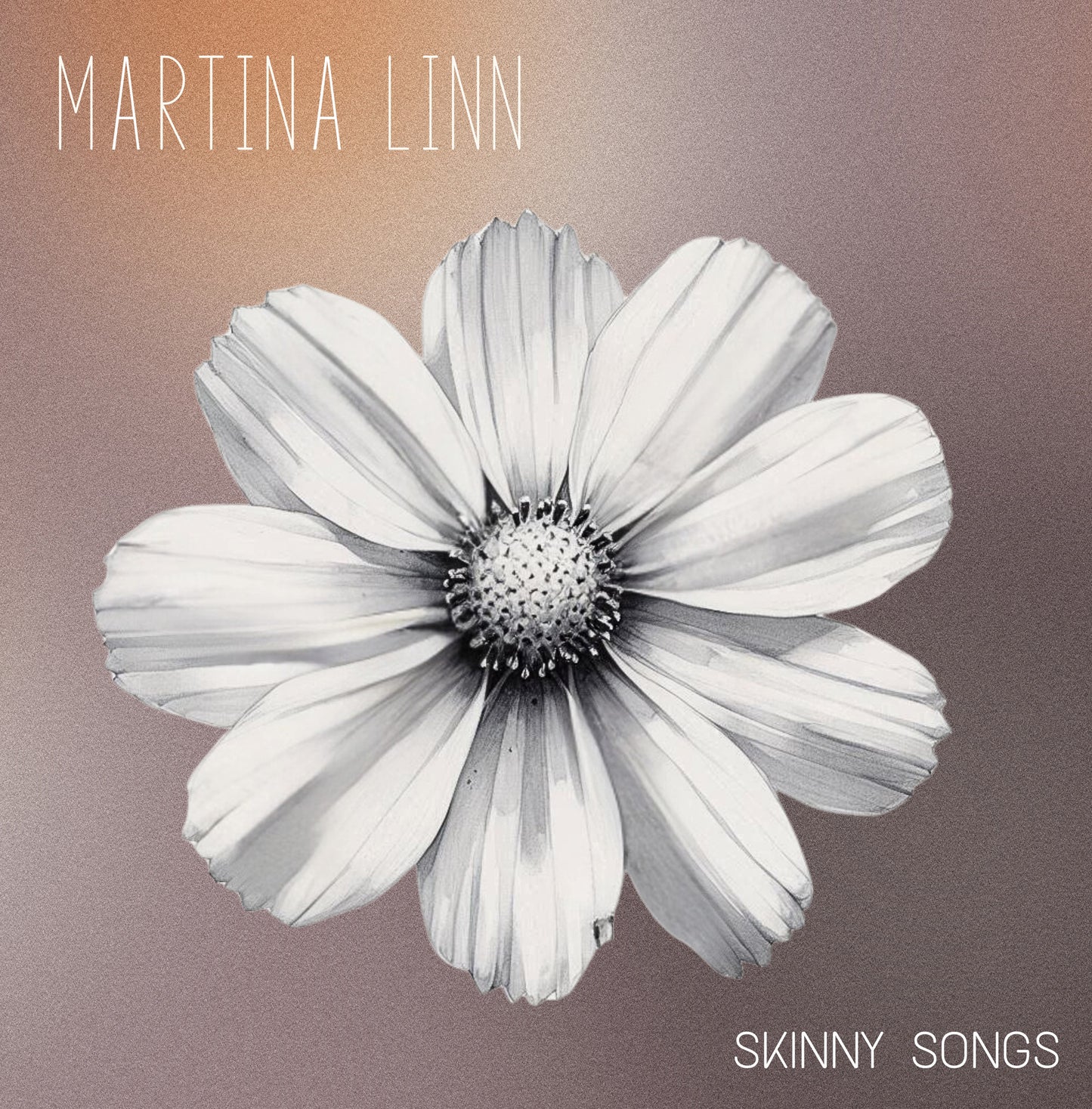 Skinny Songs CD Special Edition