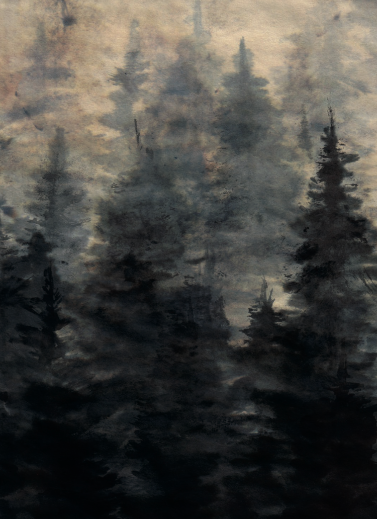 IN TSCHERCHA DA STIZIS CD Book