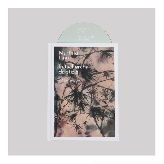 IN TSCHERCHA DA STIZIS CD Book